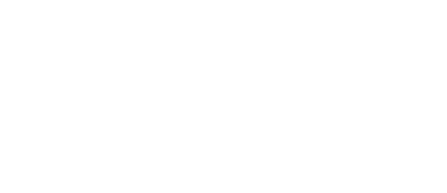 Aluminica